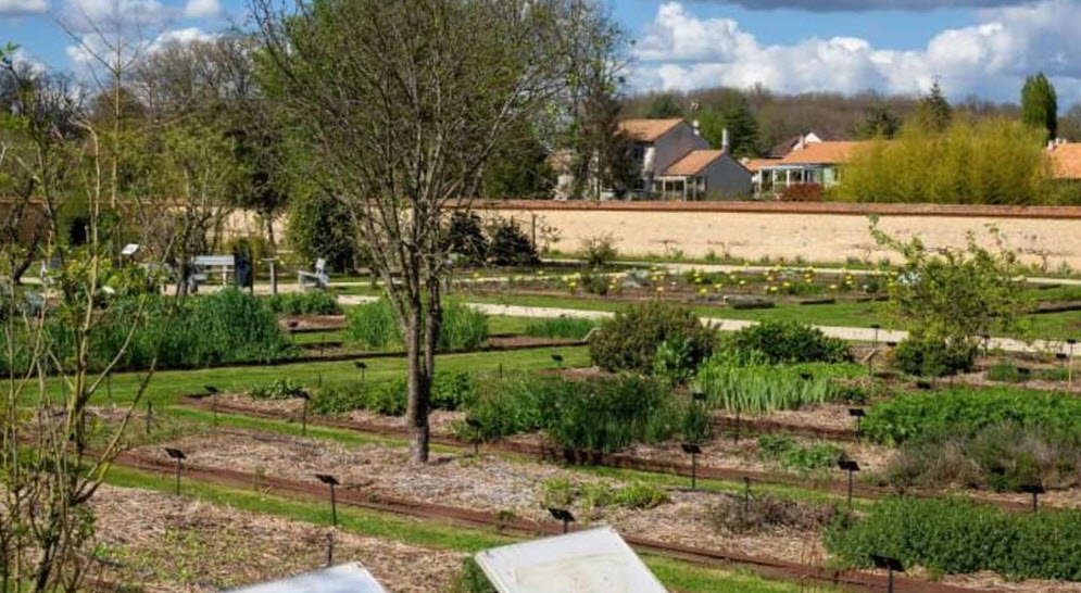 Universitaire de Poitiers Botanical Garden, Mignaloux-Beauvoir, France, France